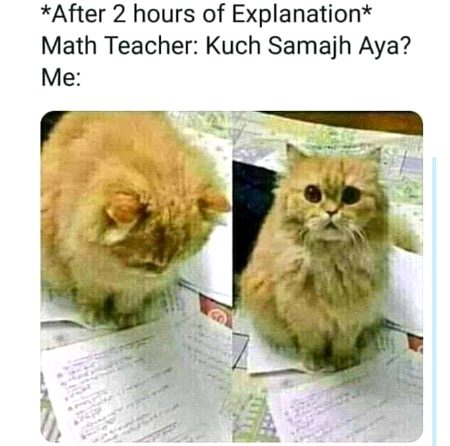 Memes & Satire image