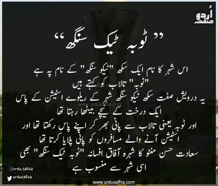 🍁🍁اردو صفحہ🍁🍁