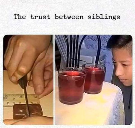 Memes & Satire image