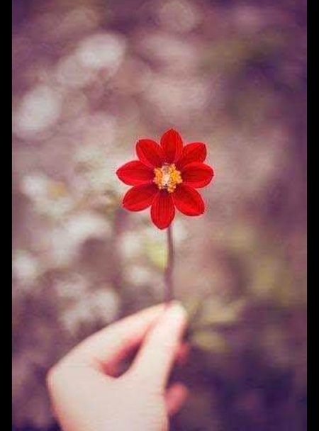 خزاں کی رت میں  گلاب لہجہ بنا کے رکھنا کمال یہ ہے ہوا کی زد میں دیا جلا کے رکھنا کمال یہ ہے