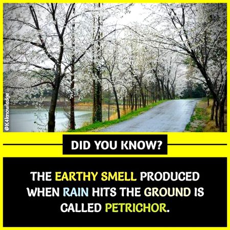 Did you Know
