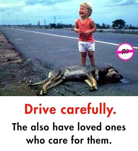 Haye khoda ky liye ihteyaat kary ap ki aik ghalti kisi ki jaan ly sakti hain bray merbani ap car chlaty howy khiyaal kijye ga please