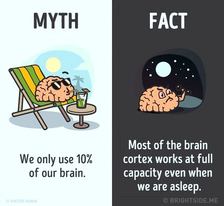 Did you Know