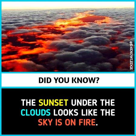 Did you Know
