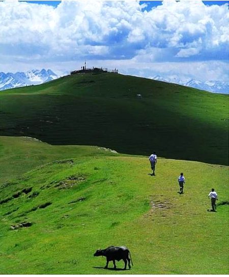 Beautiful Nature image