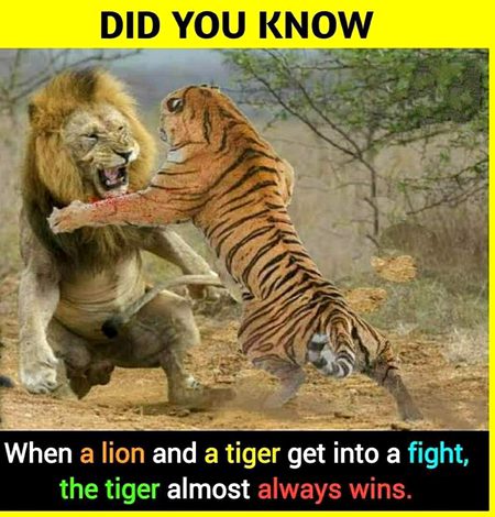 Did you Know