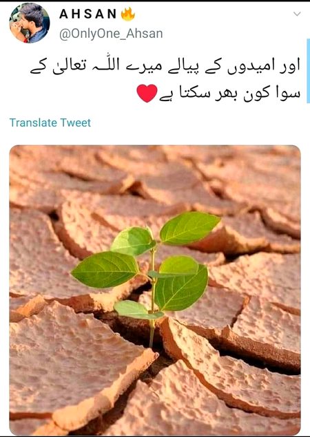 بیشک میرے اللہ کے سوا اور  کوئی نہیں کرسکتا ۔۔۔