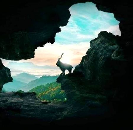 A beautiful picture presenting pakistan's map and national animal.😍