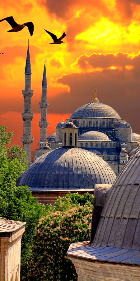 Beautiful Structures image