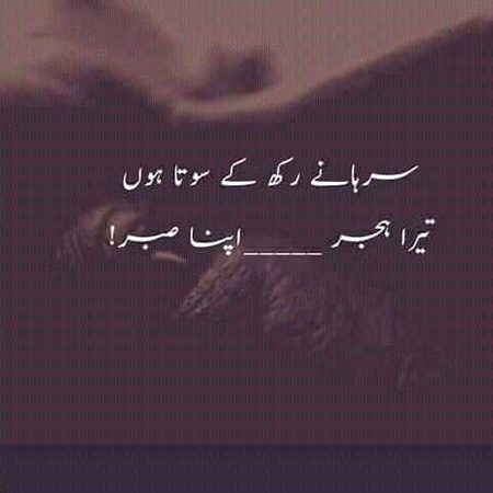 🍁Zoq_Shab🍁