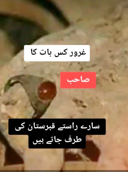 point to be noted