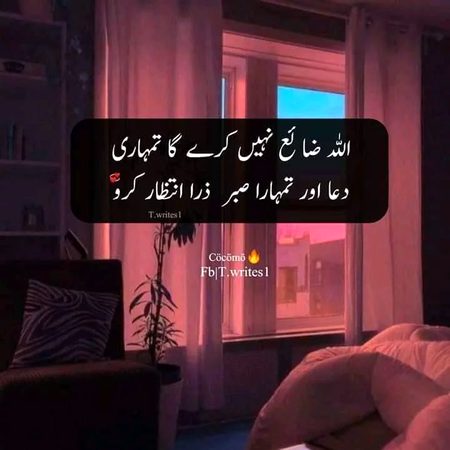 beshaaak❤