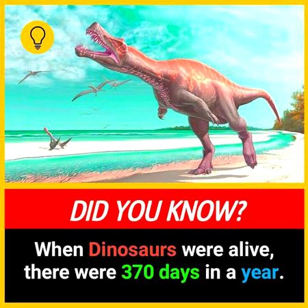 Did You Know