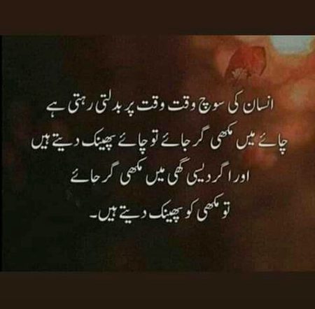 Us shkhs ko koi bdl nhi skta .jisy apny ander koi ghlti nzr na ati ho