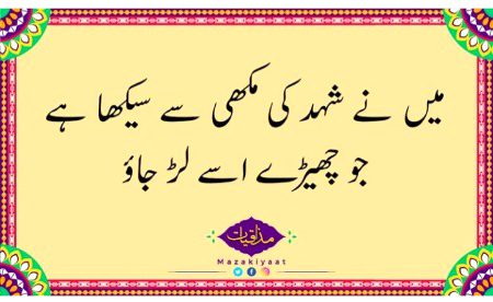 💯 true baat ha ky nhi