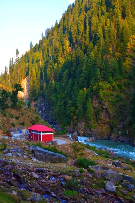 Beautiful Nature image