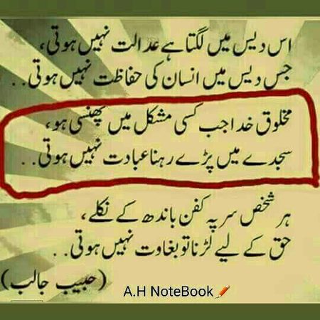 beautiful lines🍁🍁