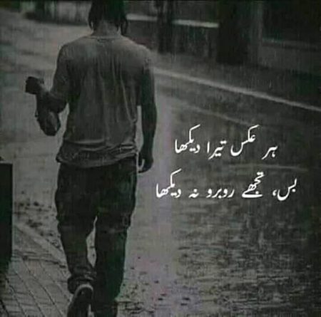 🍁Zoq_Shab🍁
