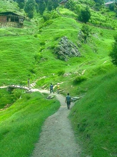 Beautiful Nature image