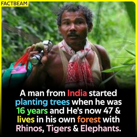 Did you Know