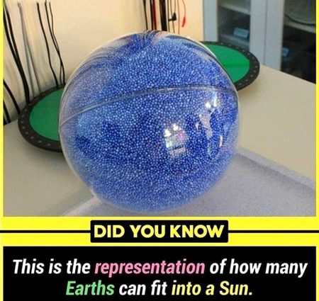 Did you Know