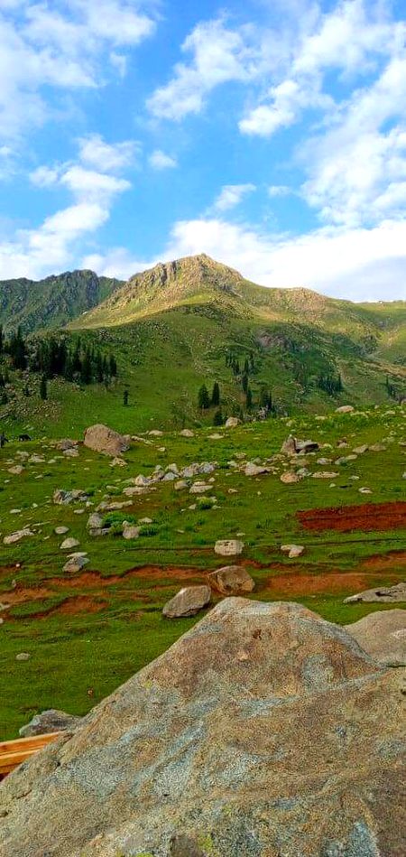 Beautiful Nature image