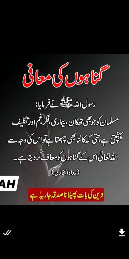 Beshak,no doubt