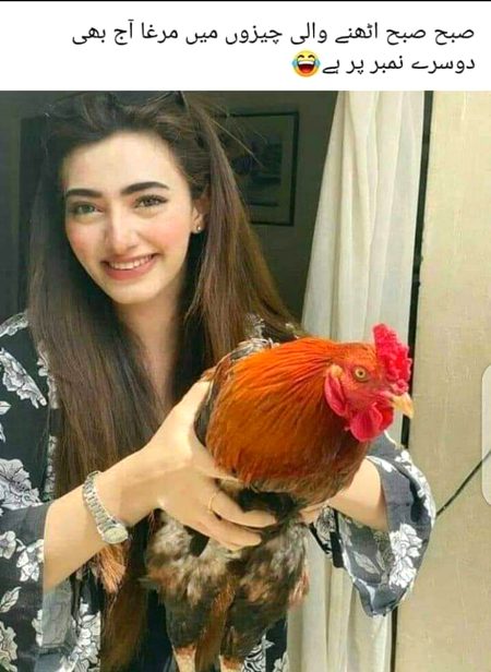 Sirf legend smjh sakty hen..