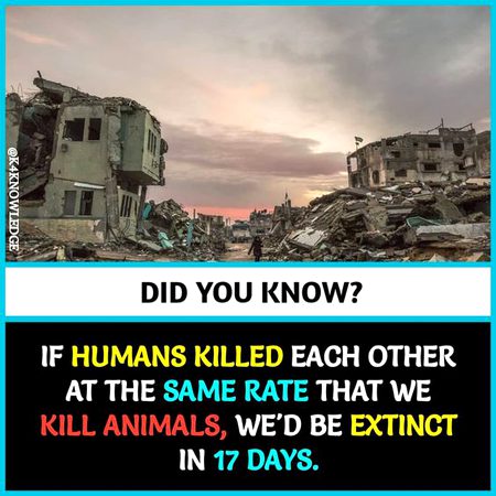 Did you know