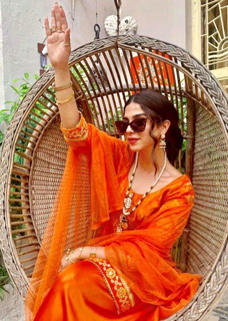 Pakistani Celebs image