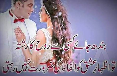 •||•^°°°°°°^°°•||•