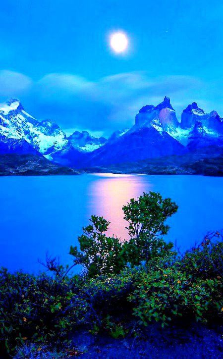 Beautiful Nature image