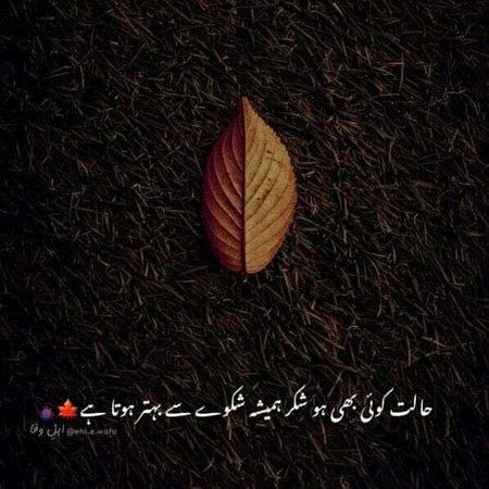 Beshak❤

🔥Syed Zada💔