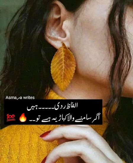 •||•^°°°^°•||•