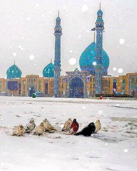اے وقت کے حسین ع اب آجاؤ اک بار

ہو جائے ختم فاطمہ زہرا س کا انتظار

شب جمعه

 ❤️❤️
