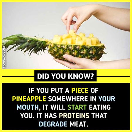 Did you Know