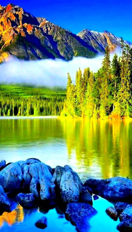 🌼nature wallpaper🌼
