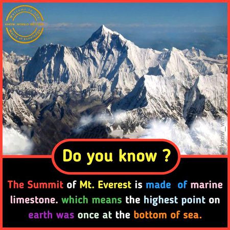Did you Know