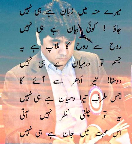 Mehar Zada
