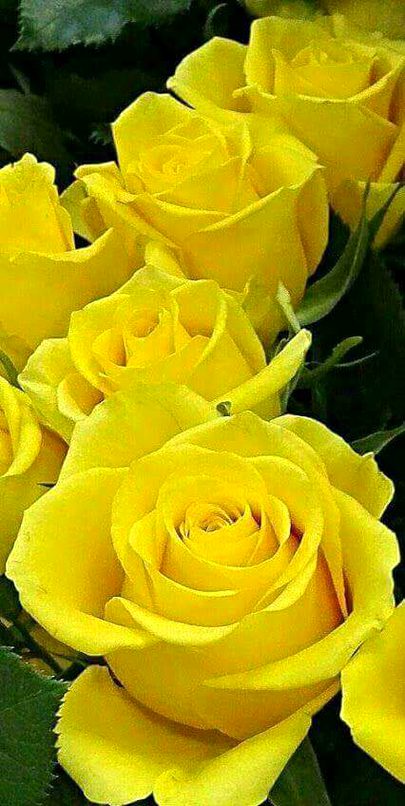 کہتی ہے میرے بارے میں "اچھا کمینہ ہے" 
"اچھا" بلند کہہ کے "کمینہ" دباتی ہے 

عبید ثاقب