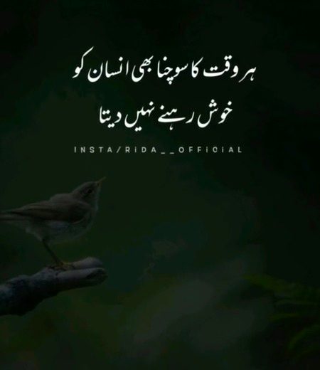 True lines 😔😔😔