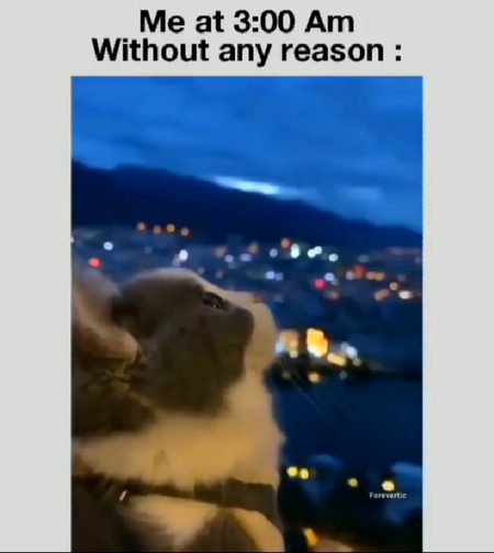 Without any reason....