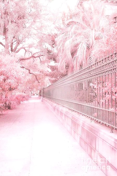 Amazing Place