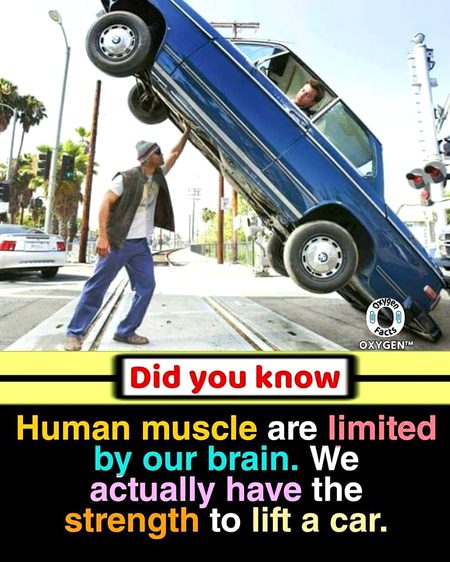 Did you Know