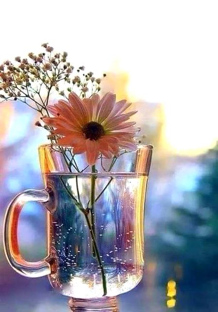 سخت سے سخت الفاظ بولتے وقت ہمیں  یہ یاد بھی نہیں  رہتا کہ سننے والے کو یہ الفاظ کب تک یاد رہیں گے