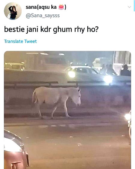 Ops laughed..Wese pochna banta hai akhir bestie hain na g tu btaen mere 2 bestie main se aik Ahmad kahan ghom.rahe hain ap kia scene hai sb thk tu hai na ..laughed to read this caption ..