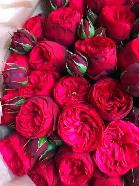 Happy Teachers Day ❣️