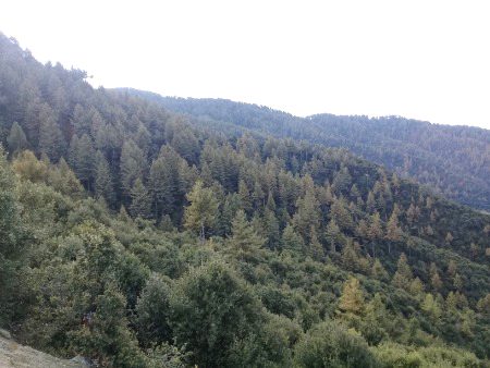 Today visit to hills