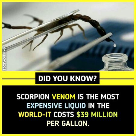 Did you Know