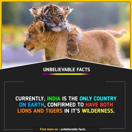 Did You Know